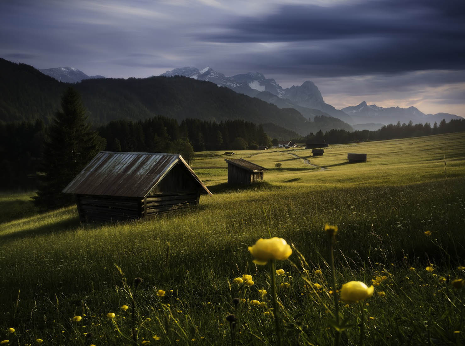 Alpine meadow at sunset: yellow globe flowers in the shaded foreground, two wooden hay barns side-lit by warm light in the mid-ground across a small lake, distant peaks catching the last sun under a moody cloudy sky.